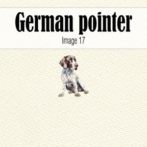 Clipart de pointeur allemand aquarelle, aquarelle chien Clipart, Portrait de chien, chien PNG, peinture de chien pointeur allemand à poil court, chien mignon Clipart image 7