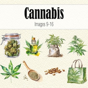 Cannabis Clipart-Dateien, Aquarell Hanf Clipart Bundle, Marihuana PNG Wandkunst, Aquarell Cannabis Scrapbook Art, Pot Leaf Bild 6