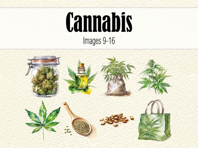 Cannabis Clipart-Dateien, Aquarell Hanf Clipart Bundle, Marihuana PNG Wandkunst, Aquarell Cannabis Scrapbook Art, Pot Leaf Bild 6