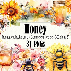 Aquarel honing clipart, Bee clipart, Honey Bee PNG, Bee Hive honingraat clipart, hommel clipart, lavendel Daisy clipart