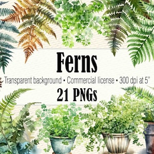 Aquarelle fougère Clipart, peint fougère PNG, fougère automne, couronne de fougère, fougère feuilles verdure Clipart, fougère Art vert feuilles Clipart