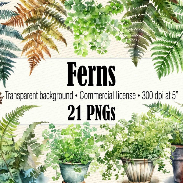 Watercolor Fern Clipart, Painted Fern PNG, Autumn Fern, Fern Wreath, Fern Leaves Greenery Clipart, Fern Art Green Leaves Clipart