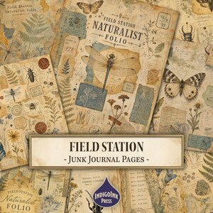 Puede incluir: Una colección de páginas para diario creativo titulada Field Station Naturalist Folio, con ilustraciones de estilo vintage de libélulas, mariposas, escarabajos y helechos botánicos en tonos sepia y azul apagado.