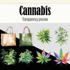 Cannabis Clipart-Dateien, Aquarell Hanf Clipart Bundle, Marihuana PNG Wandkunst, Aquarell Cannabis Scrapbook Art, Pot Leaf Bild 4