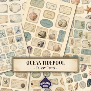 May include: A collection of vintage-style paper ephemera featuring illustrations of seashells, marine life, and scientific labels. The sheets include various rectangular and oval tags with text such as Ocean Tidepool Fussy Cuts and IndigoInk Press.