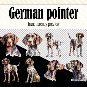 Clipart de pointeur allemand aquarelle, aquarelle chien Clipart, Portrait de chien, chien PNG, peinture de chien pointeur allemand à poil court, chien mignon Clipart image 4