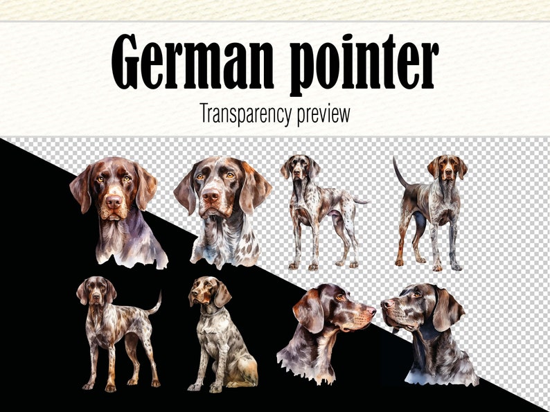 Clipart de pointeur allemand aquarelle, aquarelle chien Clipart, Portrait de chien, chien PNG, peinture de chien pointeur allemand à poil court, chien mignon Clipart image 4