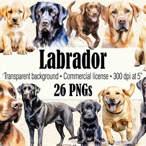 Aquarell Clipart Labrador Retriever Hund Mama PNG, Aquarell schwarz Labrador PNG, Labrador Kopf Hund Clipart, Schokolade Labrador Welpe Clipart