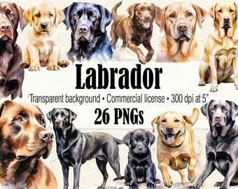 Watercolor Clipart Labrador Retriever Dog Mom PNG, Watercolor Black Lab PNG, Labrador Head Dog Clipart, Chocolate Labrador Puppy Clipart