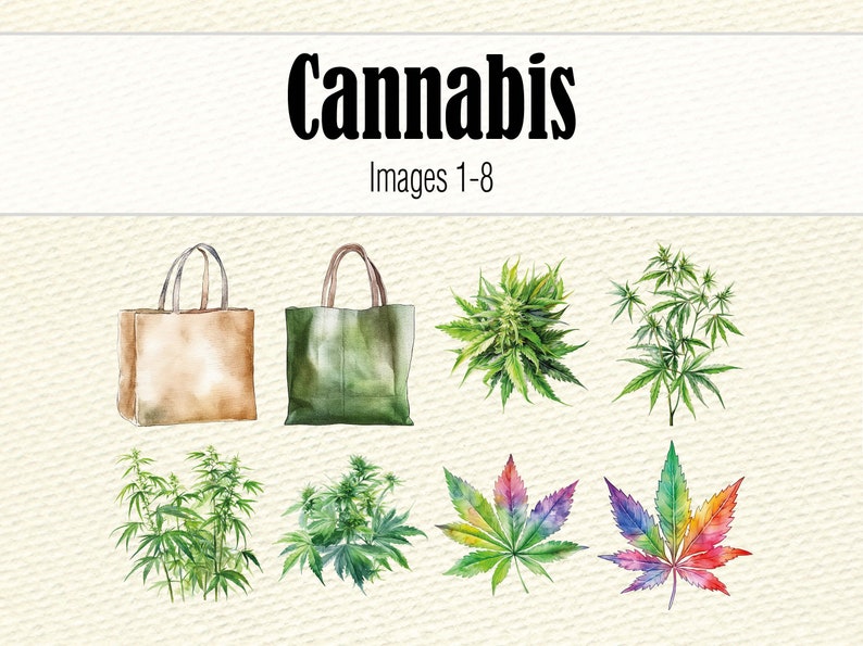 K&ouml;nnte beinhalten: Zwei Tragetaschen, eine braune und eine gr&uuml;ne, mit Illustrationen von Cannabispflanzen. Das Bild zeigt au&szlig;erdem acht verschiedene Illustrationen von Cannabispflanzen in verschiedenen Wachstums- und Farbstufen.