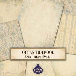 Ocean Tidepool Background Pages, Shell Studies, Specimen Notes Sun Faded, Tide Charts, Field Maps, Junk Journal Printable, Digital Download