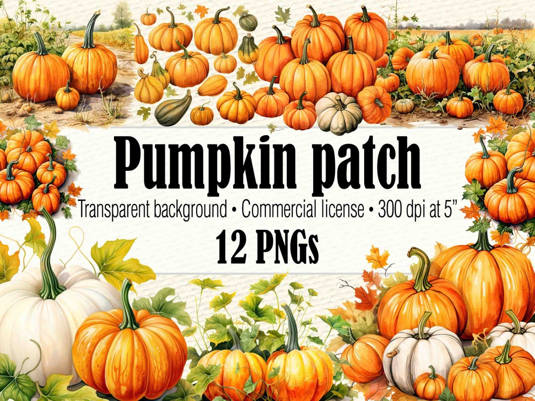 Pumpkin Patch PNG, Farm Fresh Pumpkins Fall Clipart, Retro Pumpkin PNG ...
