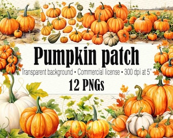 Pumpkin Patch PNG, Farm Fresh Pumpkins Fall Clipart, Rétro Citrouille PNG, Aquarelle Citrouille Clipart, Automne Citrouille Graphique Citrouille Saison PNG