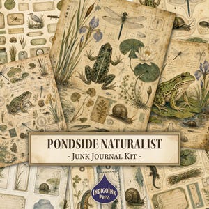 Op de afbeelding: Een verzameling papierbladen in vintage-stijl met illustraties van kikkers, libellen, slakken en vijverflora. De tekst PONDSIDE NATURALIST - Junk Journal Kit - is gecentreerd in een rechthoekig kader over de bedrukte papieren.