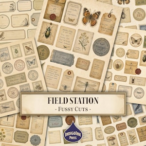 May include: A collection of vintage-style paper ephemera featuring field station labels, insect illustrations, botanical drawings, and specimen tags. The sheets include text such as FIELD STATION - FUSSY CUTS - and INDIGOINK PRESS in a beige color palette.