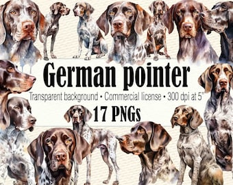 Watercolor German Pointer Clipart, Watercolor Dog Clipart, Dog Portrait, Dog PNG, German Shorthaired Pointer Dog Painting, Cute Dog Clipart