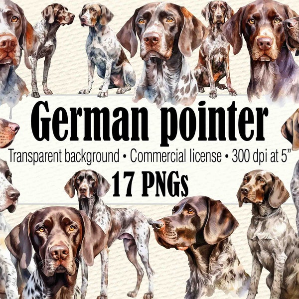 Watercolor German Pointer Clipart, Watercolor Dog Clipart, Dog Portrait, Dog PNG, German Shorthaired Pointer Dog Painting, Cute Dog Clipart