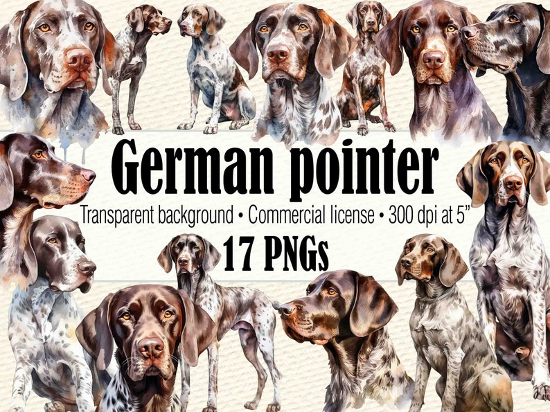 Clipart de pointeur allemand aquarelle, aquarelle chien Clipart, Portrait de chien, chien PNG, peinture de chien pointeur allemand à poil court, chien mignon Clipart image 1