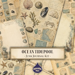 May include: A collection of vintage-style stationery papers featuring illustrations of seashells, starfish, crabs, seaweed, and tidepool notes. The pages have a sepia-toned, aged paper texture with handwritten labels, maps, and scientific diagrams.