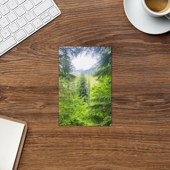 Forest and Moutains