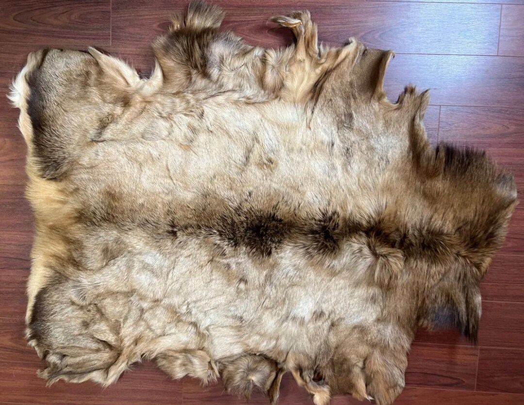 Tanned Elk Hide Hair Fur Leather Pelt Taxidermy Rug Wall Etsy