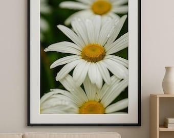 White Daisy Photography Print – Digital Download