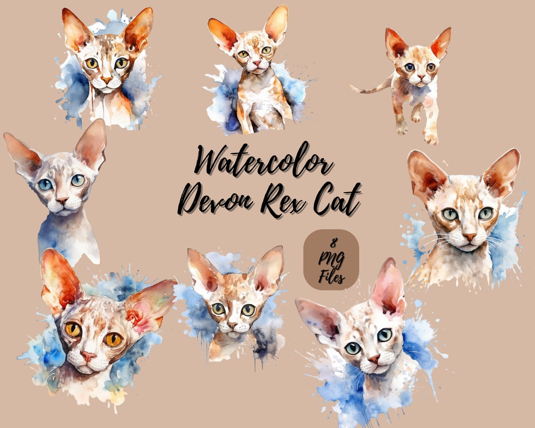 Watercolor Devon Rex Cat Digital Download Wall Art Watercolor Clipart ...