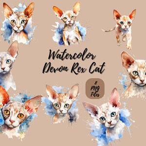 Watercolor Devon Rex Cat Digital Download Wall Art Watercolor Clipart ...