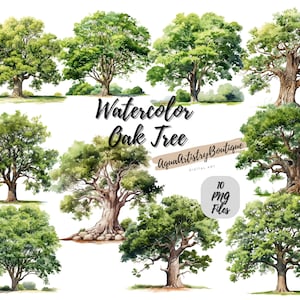 Aquarel eik | Digitale download | Muurkunst | Aquarel clipart | Eikenboom, png-bestand | Uitnodigingsclipart | Boombundel Clipart