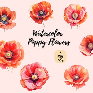 Coquelicot aquarelle | Téléchargement numérique | Art mural | Clipart aquarelle | Fleur PNG | Clipart invitation | Clipart de bouquet de fleurs