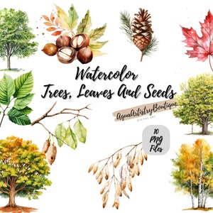 Aquarell Bäume, Blätter und Samen | Digitaler Download | Aquarell Clipart | Baum PNG | Einladung Clipart | Baum-Bündel Clipart