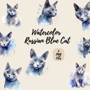 Chat bleu russe à l'aquarelle | Téléchargement numérique | Art mural | Clipart aquarelle | Chat PNG | Clipart invitation | Clipart lot de chats