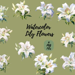Lírio aquarela | Download digital | Arte de parede | Clipart aquarela | Flor PNG | Clipart de convite | Flor, pacote Clipart