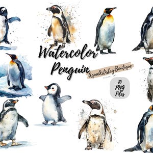 Aquarel pinguïn | Digitale download | Muurkunst | Aquarel clipart | Pinguïn, png-bestand | Uitnodiging clipart|Pinguïn bundel clipart|Pinguïn SVG