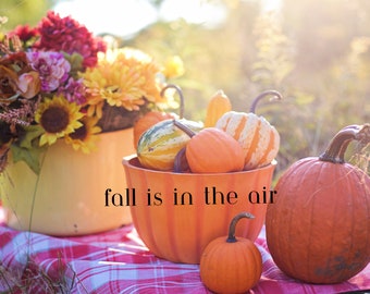 Fall Sublimation, Fall PNG, Pumpkin