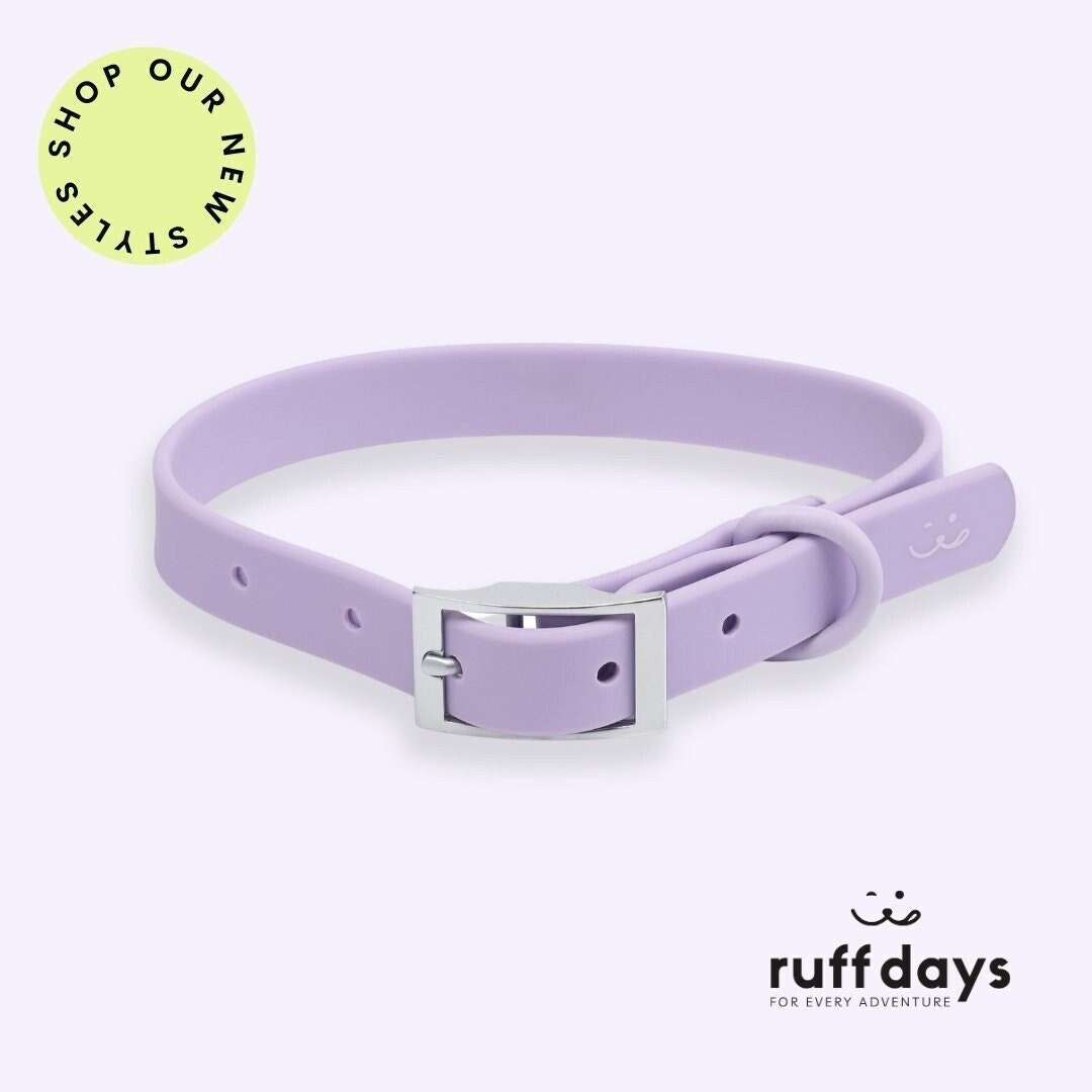 Purple Waterproof Dog Collar for Dogs Durable, Easy Clean - Main Image