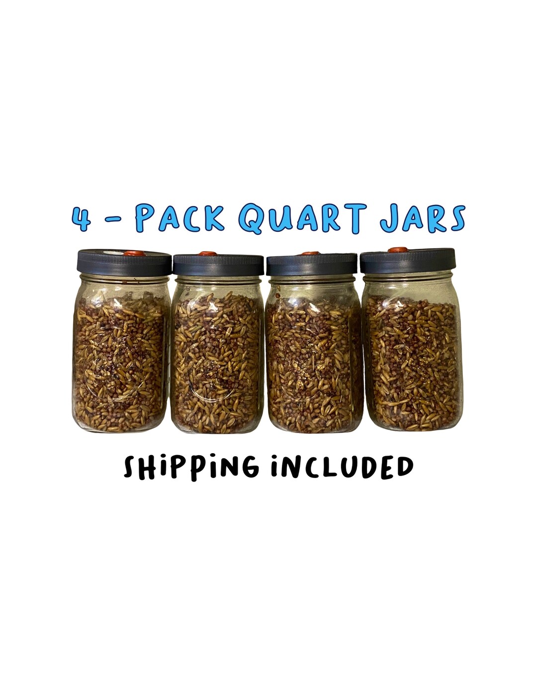 Milo 'n' Whole Oats Grain Jars for Gourmet or Medicinal Mushroom Spawn