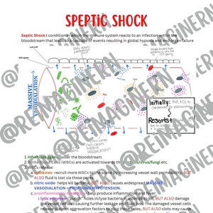 Septic Shock Nursing Study Sheet