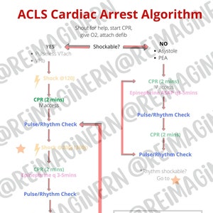 ACLS- Herzstillstand | Tachykardie | Bradykardie: Algorithmus
