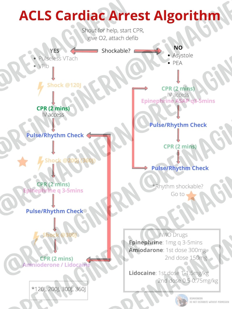 ACLS- Cardiac Arrest | Tachycardia | Bradycardia: Algorithms - Etsy