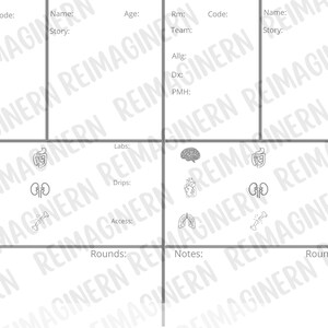 May include: A medical chart template with sections for patient information, medical history, labs, drips, access, notes, and rounds. The chart includes icons representing a brain, heart, lungs, kidneys, and bones.