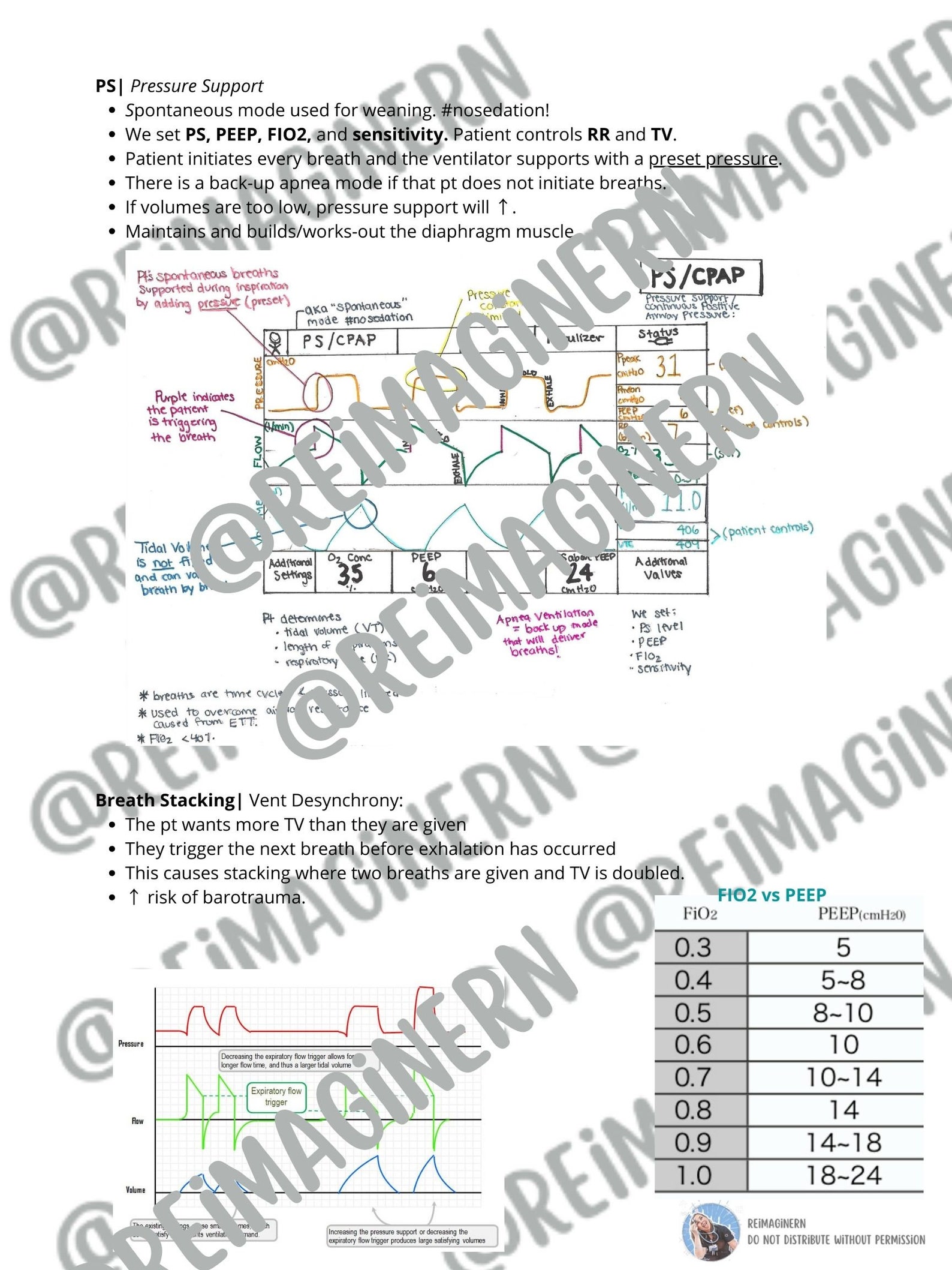 Mechanical Ventilation Nursing Study Sheet Etsy