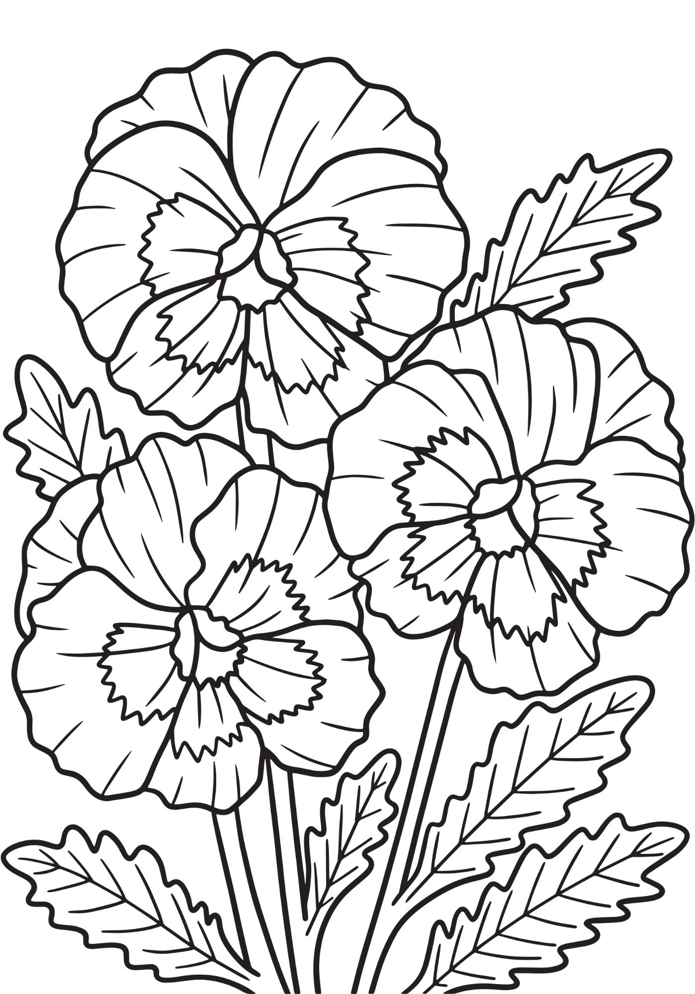 5 Floral Coloring Sheets Printable - Il Fullxfull.5001466824 M69u 