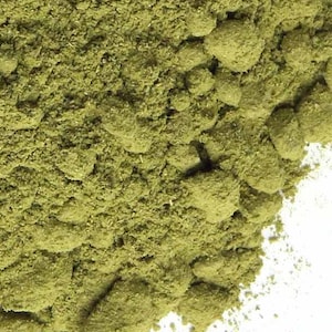 Polvo de hoja de moringa, polvo orgánico, moringa oleifera, hierbas a granel y al por mayor
