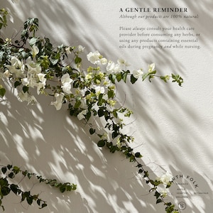 May include: A white wall with a vine of white flowers and green leaves growing up it. The text "A GENTLE REMINDER" is at the top of the image. The text "Although our products are 100% natural:" is below the first line of text. The text "Please always consult your health care provider before consuming any herbs, or using any products containing essential oils during pregnancy and while nursing." is below the second line of text. The text "EARTH FOLK" is at the bottom of the image. The text "ORGANICS, WHOLE HEARTED, BOTANICALS, THECARY, WELLNESS" is below the text "EARTH FOLK". A stylized "F" is in a circle below the text "WELLNESS".