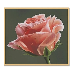 Roze roos, kruissteekpatroon, enkele roos, PDF digitaal patroon, zomertuinbloemen, boeket met rozen, bloemengrafiek, Instant Download