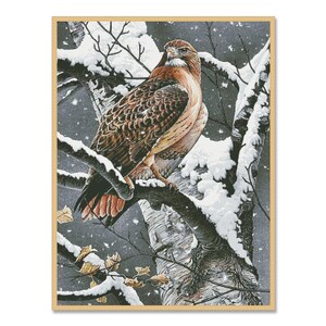 Op de afbeelding: Een roodstaartbuizerd zit op een met sneeuw bedekte tak in een winterbos. De buizerd heeft bruine en witte veren en kijkt naar rechts. De achtergrond is een besneeuwd bos met kale takken.