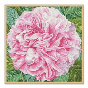 Enkele roze roos, getelde kruissteekpatroon, bloemen, digitale pdf-patroon, bloemenkaart, patroon wilde bloemen, boeketborduurwerk