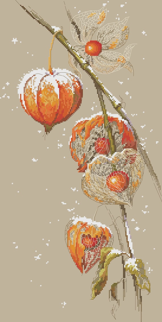 Physalis, Cross Stitch Pattern, PDF Digital Pattern, Modern