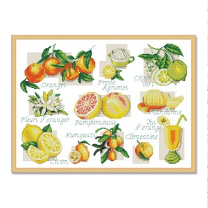 Kitchen Sampler Citrus, Counted Cross Stitch pattern, Kitchen Still Life, Orange, Mandarin, Lemon, Citrus cocktail, Instant Download PDF